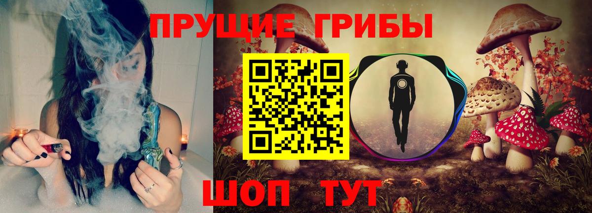Псилоцибиновые грибы MAGIC MUSHROOMS  Вход с VPN  Донской 
