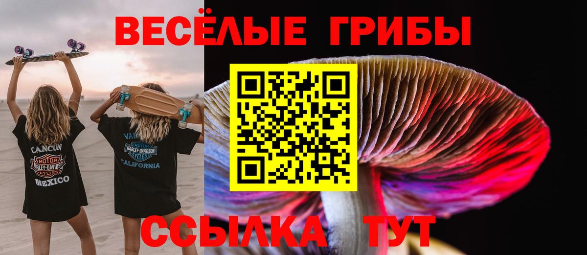 Псилоцибиновые грибы Cubensis Донской